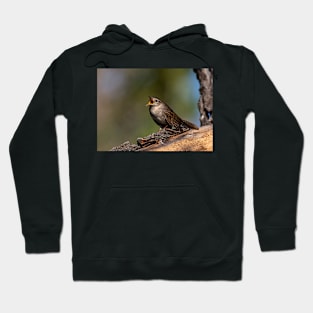 House Wren Calling Out Hoodie